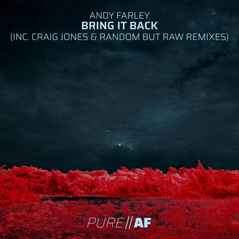 Bring It Back (2025 Remixes) album art
