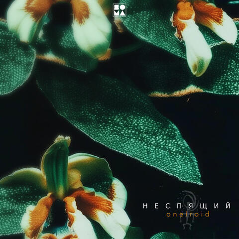 Oneiroid album art