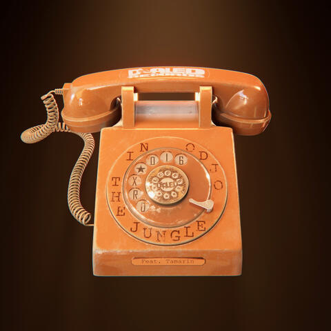 In the Jungle album art