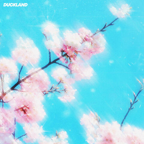 POLLEN album art