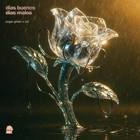 Días Buenos Días Malos album art