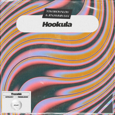 Hookula album art