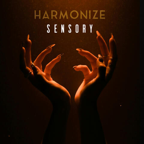 Sensory album art