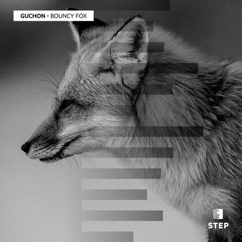 Bouncy Fox EP album art