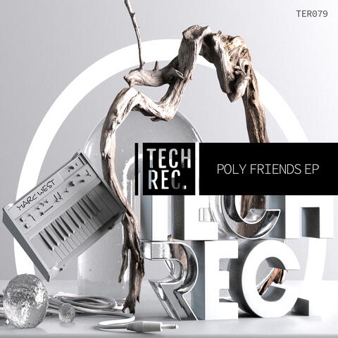 Poly Friends EP album art