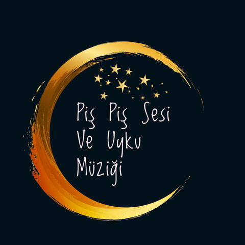 Piş Piş Sesi Ve Uyku Müziği album art