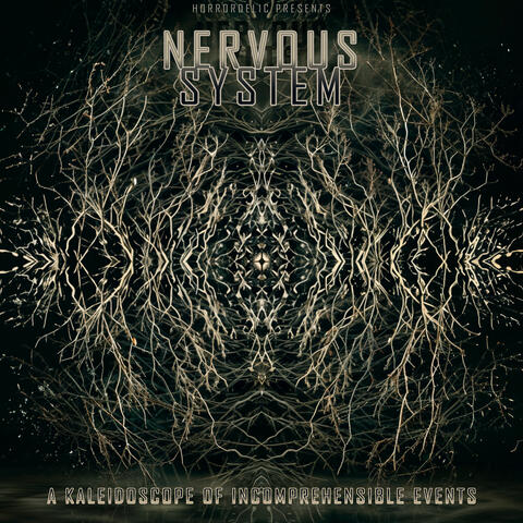 A kaleidoscope of incomprehensible Events album art