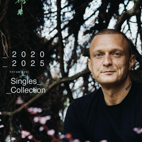2020-2025 Singles Collection album art