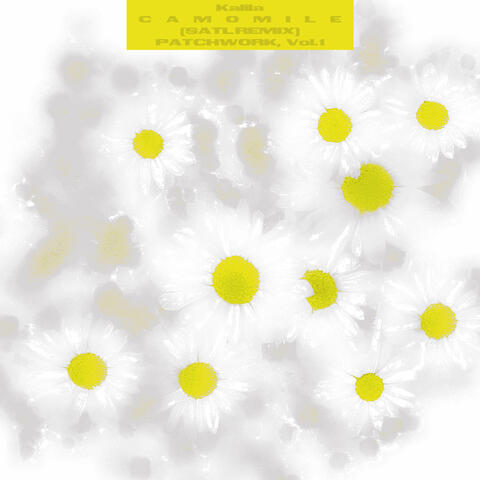 Camomile (Satl Remix) album art