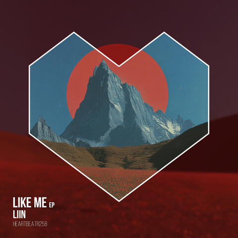 Like Me album art