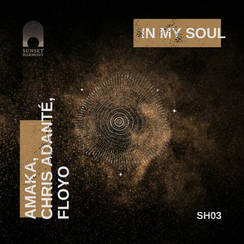 In My Soul album art