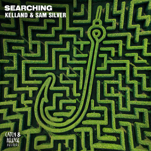 Searching album art
