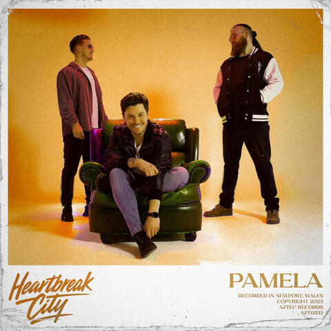 Pamela album art