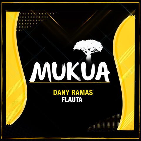 Flauta album art