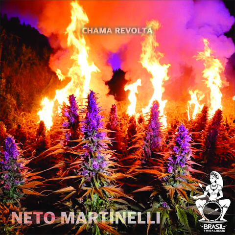Chama Revolta album art