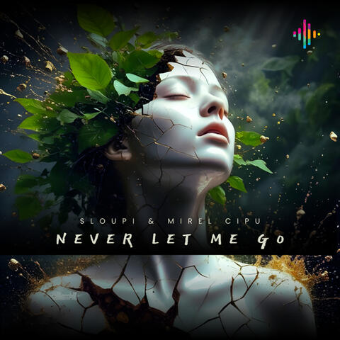 Never let me go album art