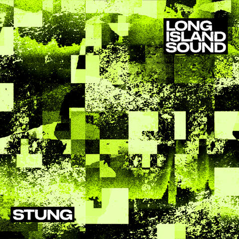 Stung album art