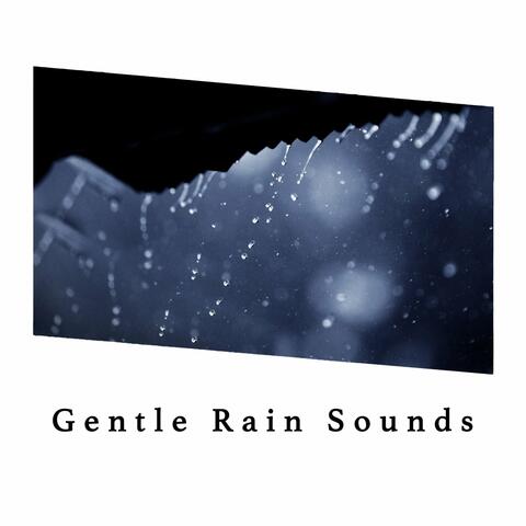Gentle Rain Sounds album art