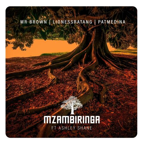 Mzambiringa album art