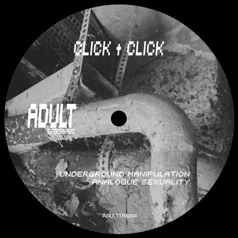 Analogue Sexuality album art