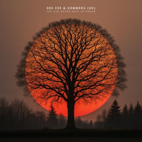 The Sun Never Sets In Dakar album art