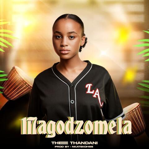 Magodzomela album art