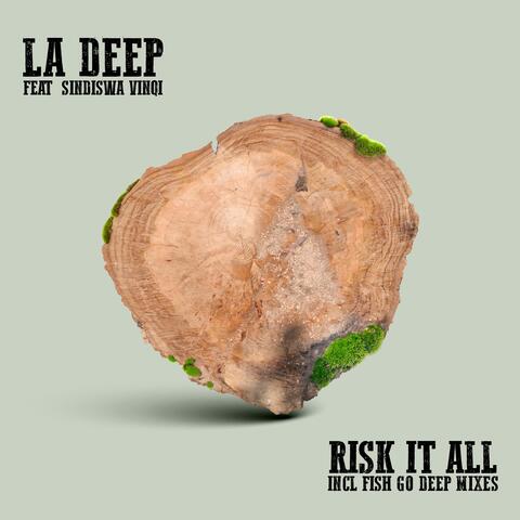 Risk It All album art