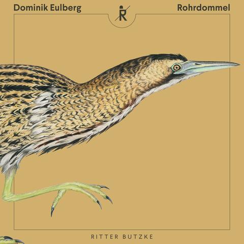 Rohrdommel album art