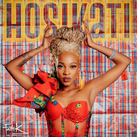 HOSIKATI album art