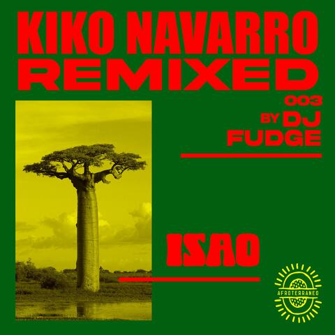 Isao (DJ Fudge Remix) album art