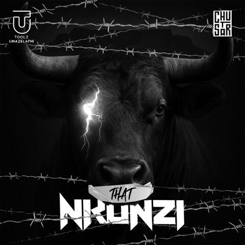 That Nkunzi album art