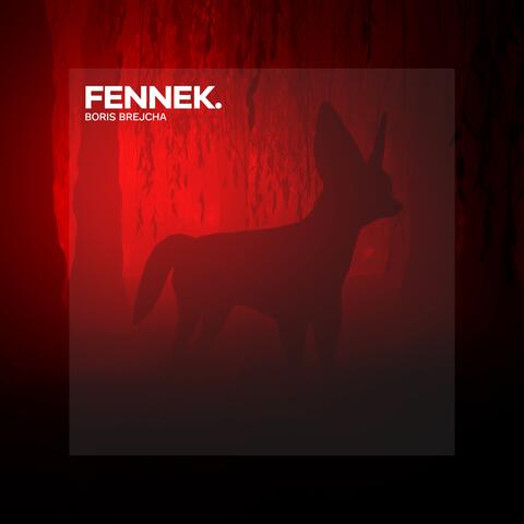 Fennek album art