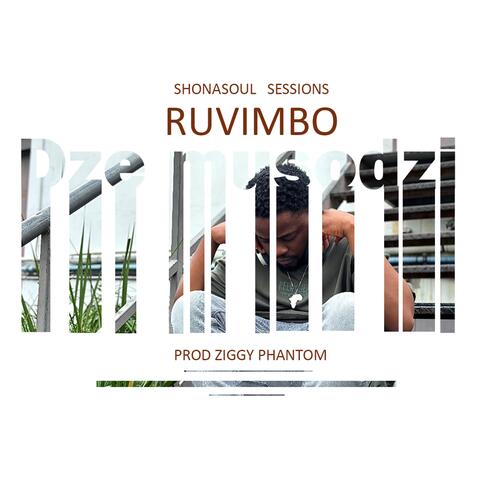 Dzemusodzi album art