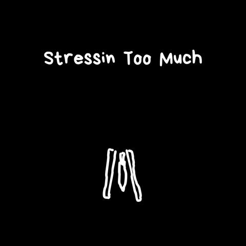 Stressin Too Much Pt. 1 album art