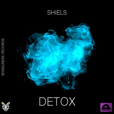 DETOX album art