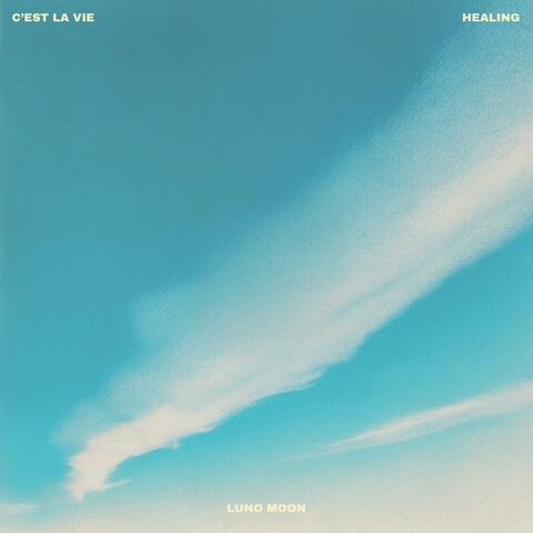 c'est la vie album art