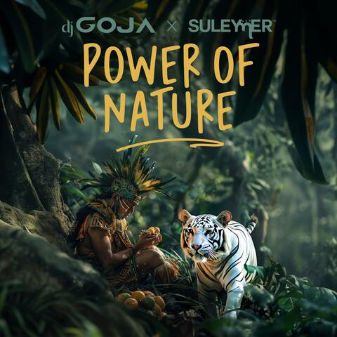 Power Of Nature album art
