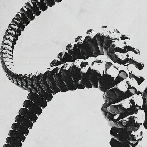 NITS album art