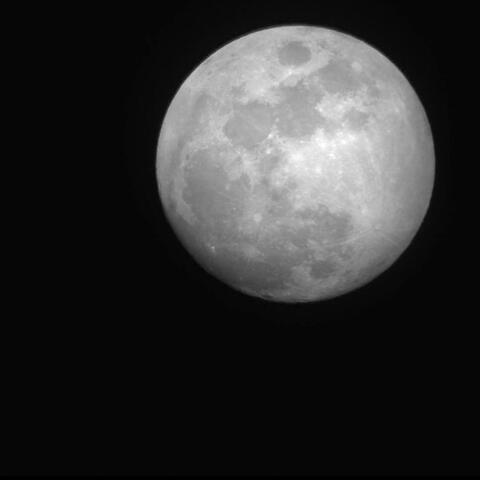Pale Moonlight album art