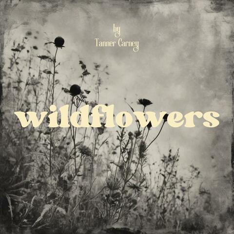 Wildflowers album art