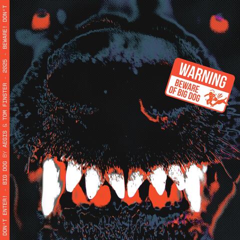 Big Dog album art