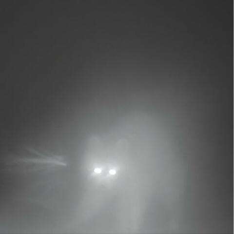 Clique album art