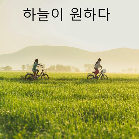 하늘이 원하다 album art