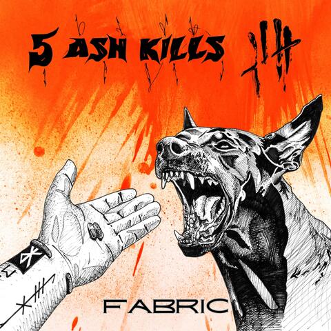 Fabric album art