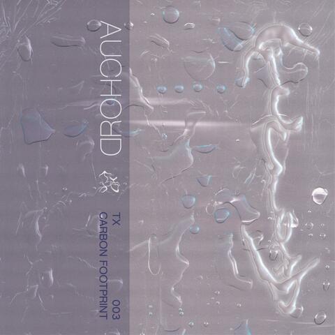 Carbon Footprint album art