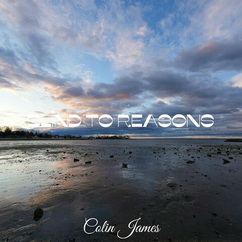 Blind To Reasons album art