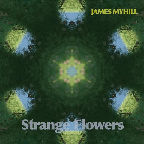 Strange Flowers album art