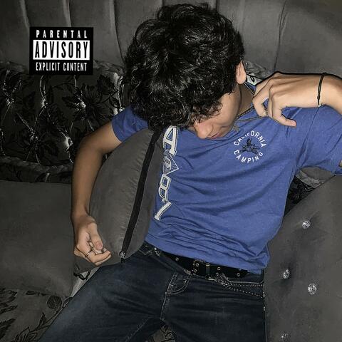 36,5 degrees album art