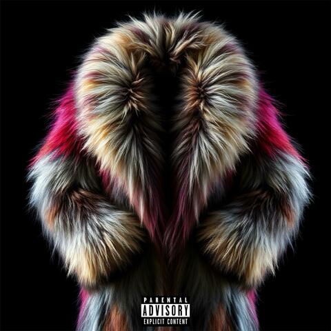 Multicolour Fur Coat album art