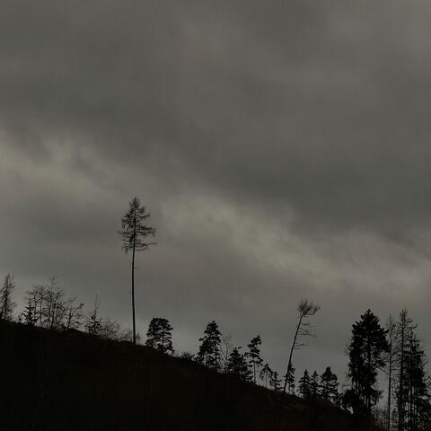 ID015 // I'm God album art